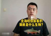 科普博主谈北海咬伤游客事件 为什么突然咬人？