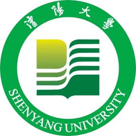 2024年沈阳大学录取分数线(2024学年各专业录取最低分数线)