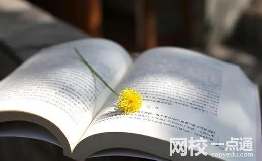 南昌工学院2023录取分数线(今年各专业最低录取分数线)