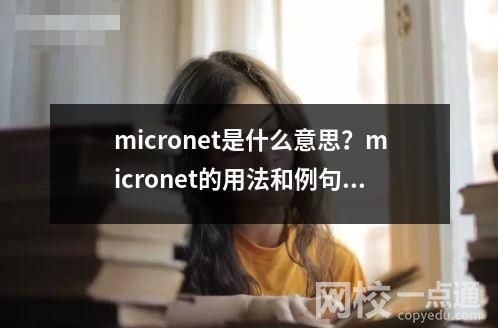 micronet是什么意思用法和例句