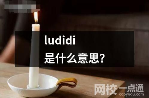 ludidi是什么意思英文用法