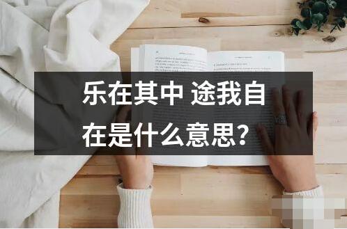 乐在其中途我自在是什么意思