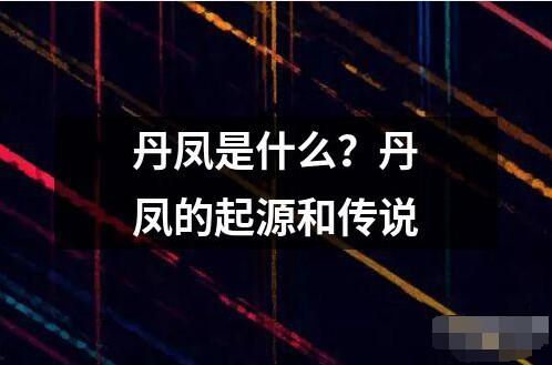 丹凤是什么起源和传说