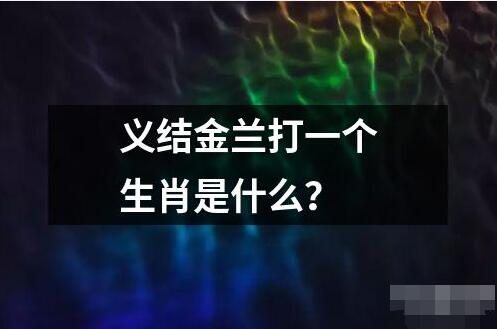 义结金兰打一个生肖是什么的解释读音读法