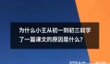 为什么小王从初一到初三就学了一篇课文