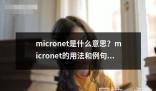 micronet是什么意思用法和例句