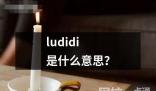 ludidi是什么意思英文用法