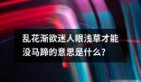 乱花渐欲迷人眼浅草才能没马蹄的意思是什么