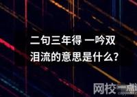 二句三年得一吟双泪流的意思