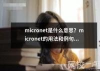 micronet是什么意思用法和例句