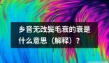 乡音无改鬓毛衰的衰是什么意思