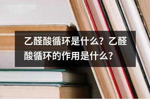 乙醛酸循环是什么意思作用是什么？