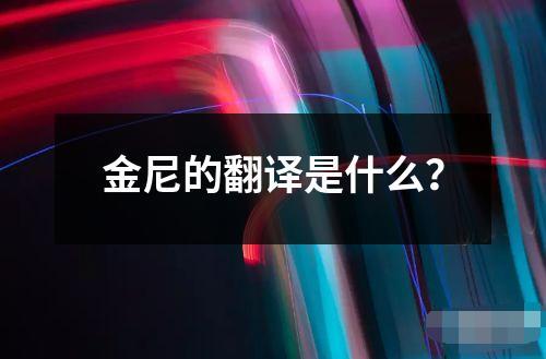 金尼的翻译是什么